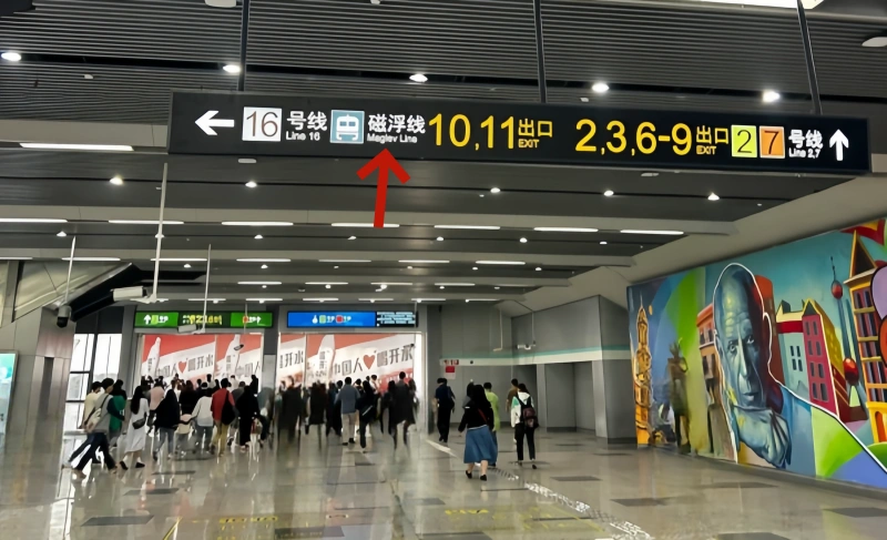 Shanghai Pudong Airport Guide: Overview and Transport Options