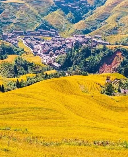 1. tour_龙脊梯田景区
