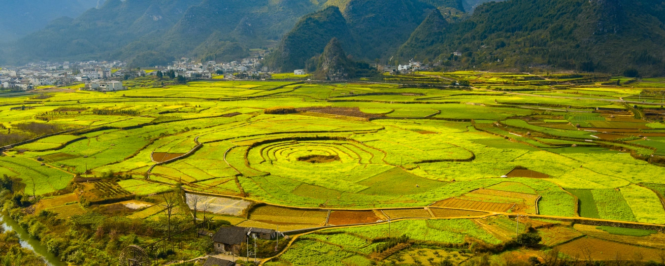万峰林風景区