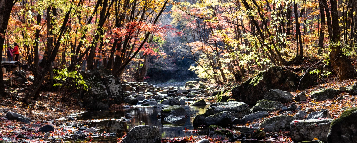 Национальный лесопарк Гуаньмэньшань