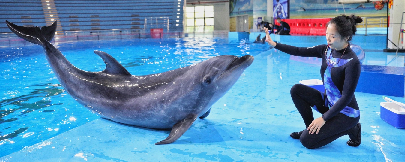 Hefei Andover Oceanarium