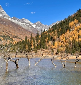 Stunning view of Mount Siguniang with snow-capped peaks and autumn colors.