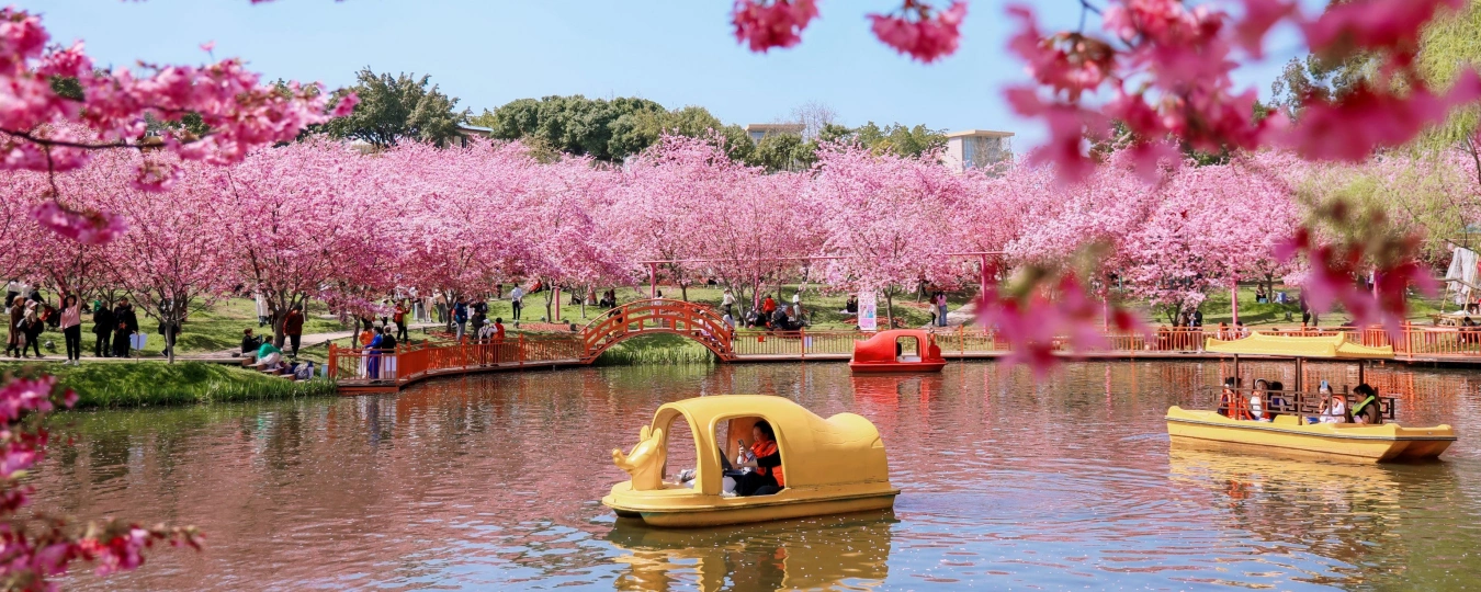 Manhua Sea of Flowers