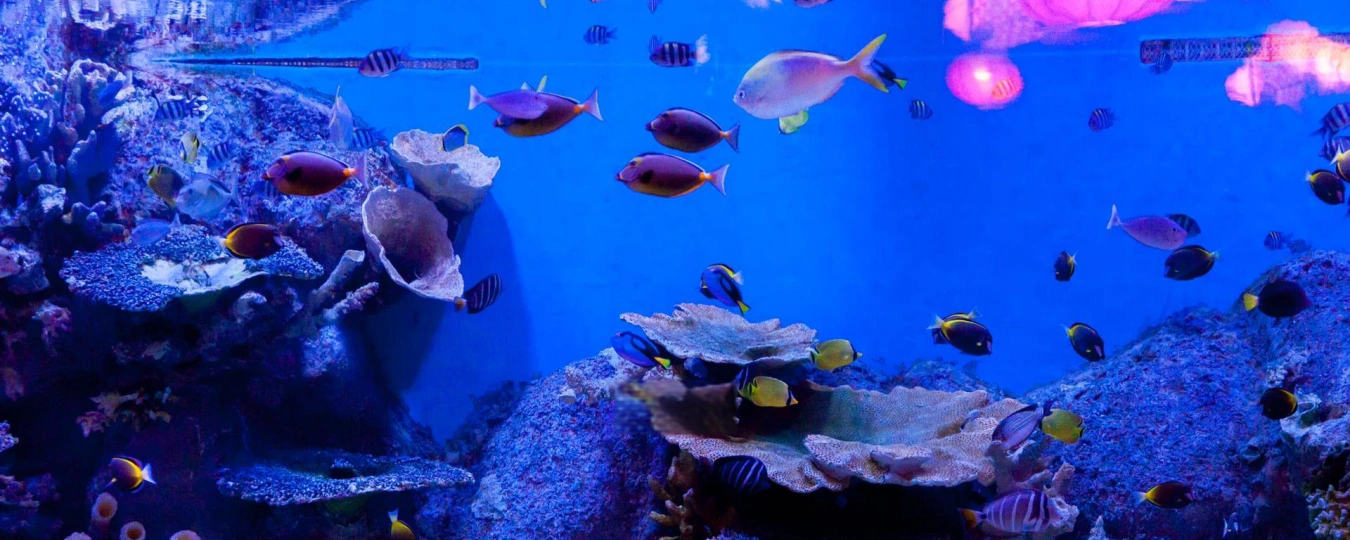 正佳極地海洋世界