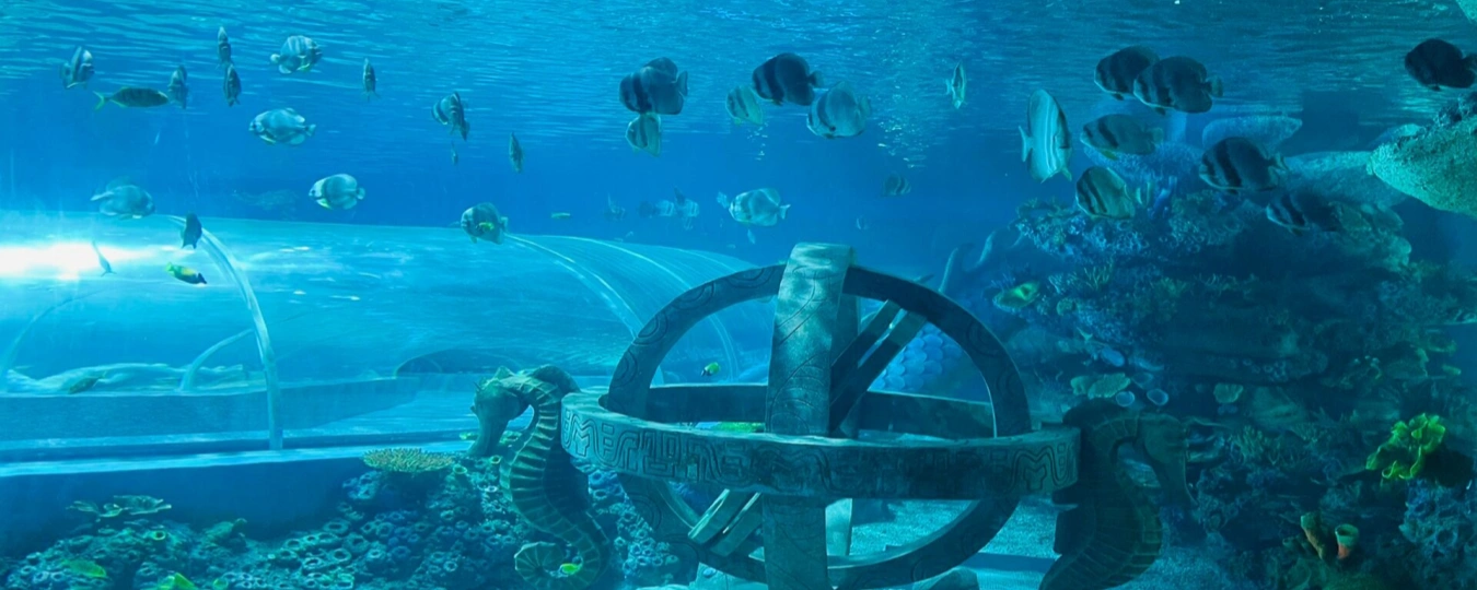 中魚視界海洋王国