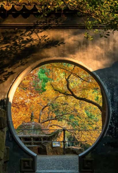 Suzhou Humble Administrator's Garden in Autumn