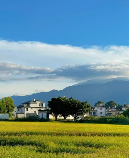 12. tour_喜洲古镇