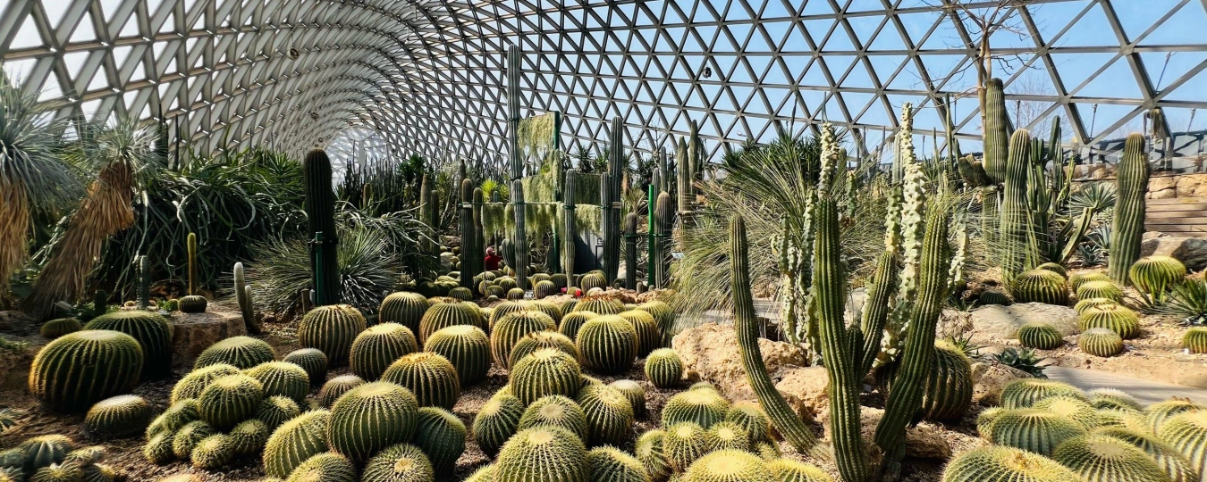 Шанхайский ботанический сад Чэньшань