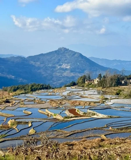 12. 元阳梯田景区