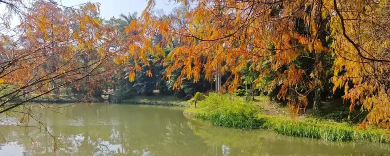 中國科學院華南國家植物園