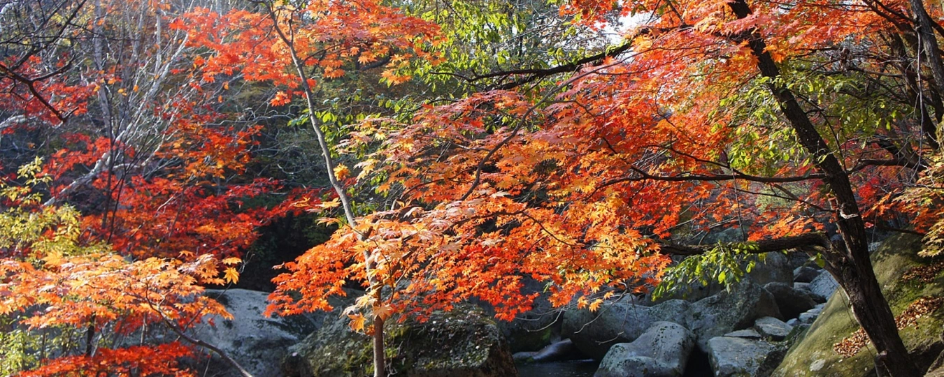 타이후위안 관광지