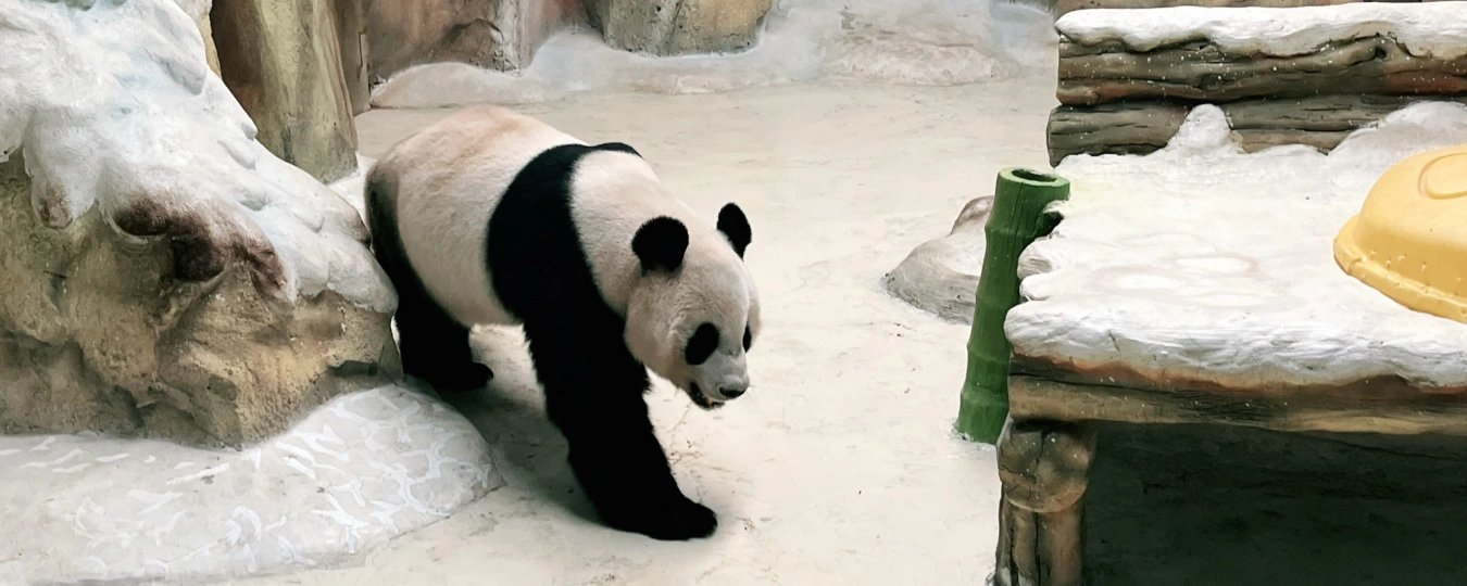 Ziqing Lake Safari Park
