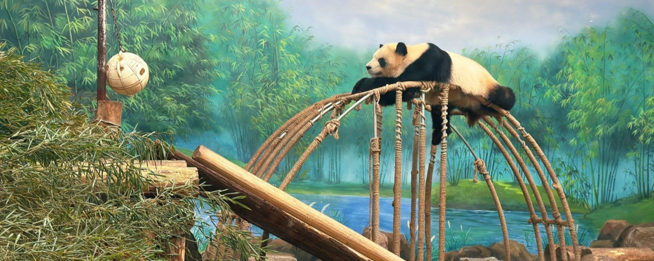 Hangzhou Zoo