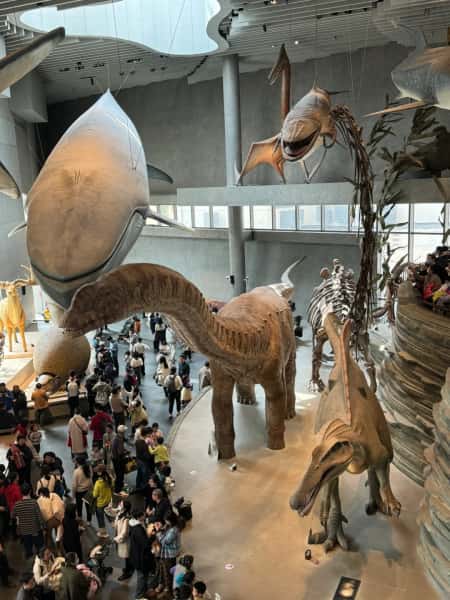 Dinosaurs Exhibit at Shanghai Natural History Museum