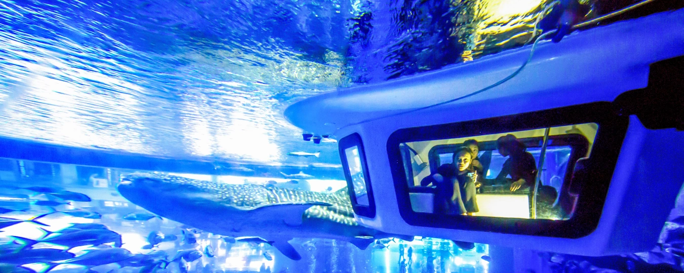 Cube Oceanarium Sea World