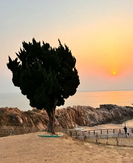 18. tour_小麦岛公园