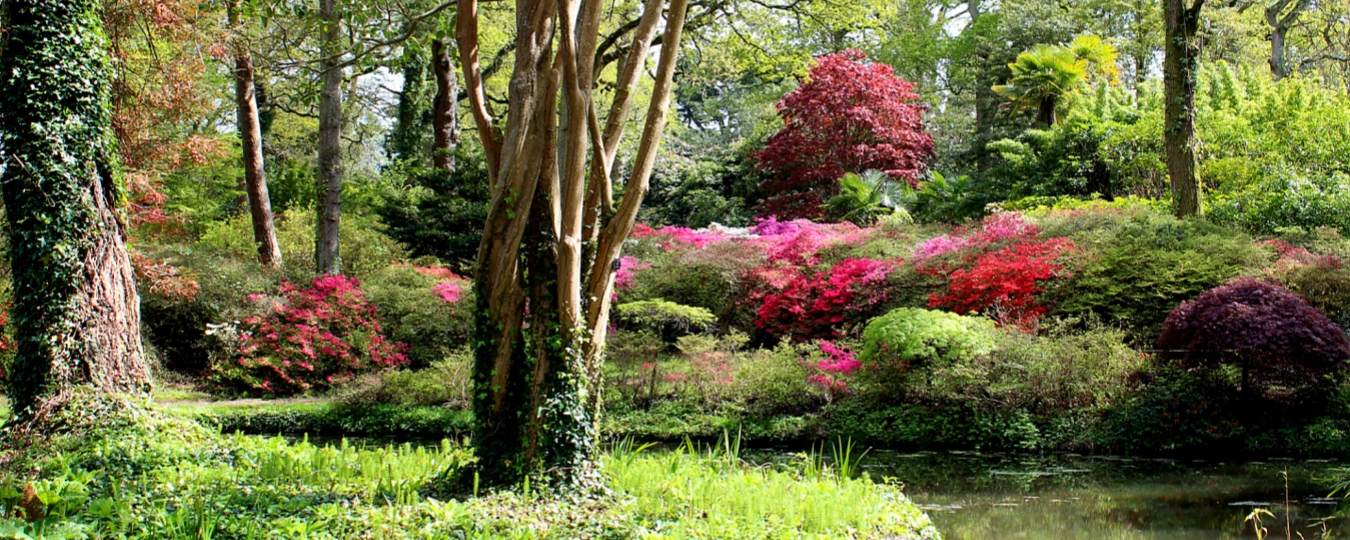 Chengdu Botanical Garden