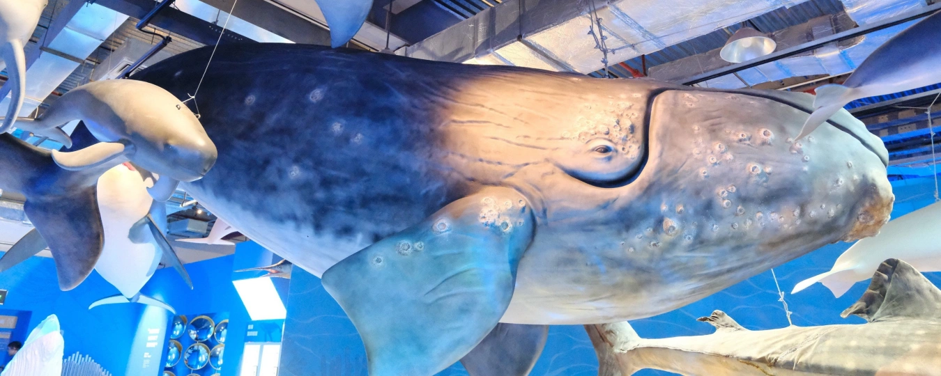 샤먼 과학기술관