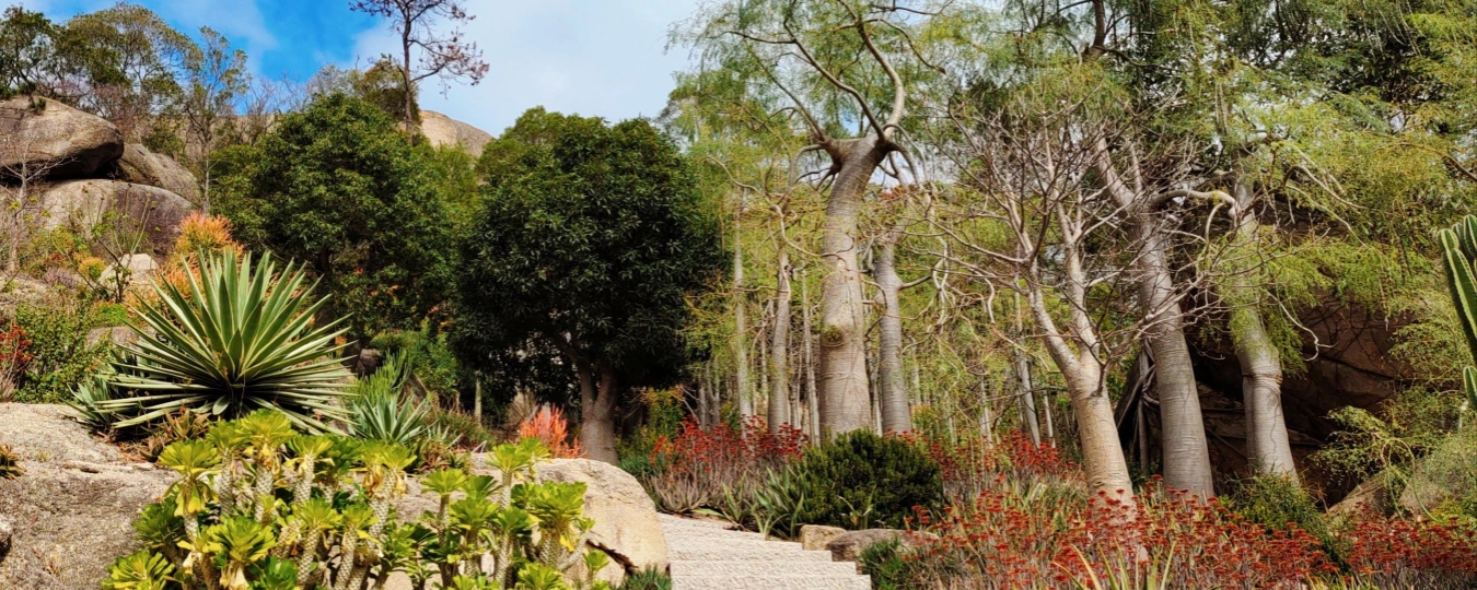 Xiamen Botanical Garden