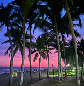 อ่าวซานย่าชายหาดทางเดินปาล์ม