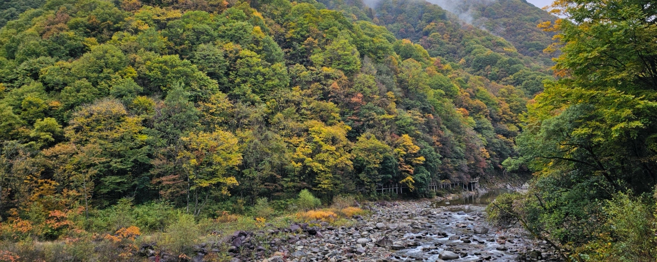 Национальный лесопарк Мицаншань