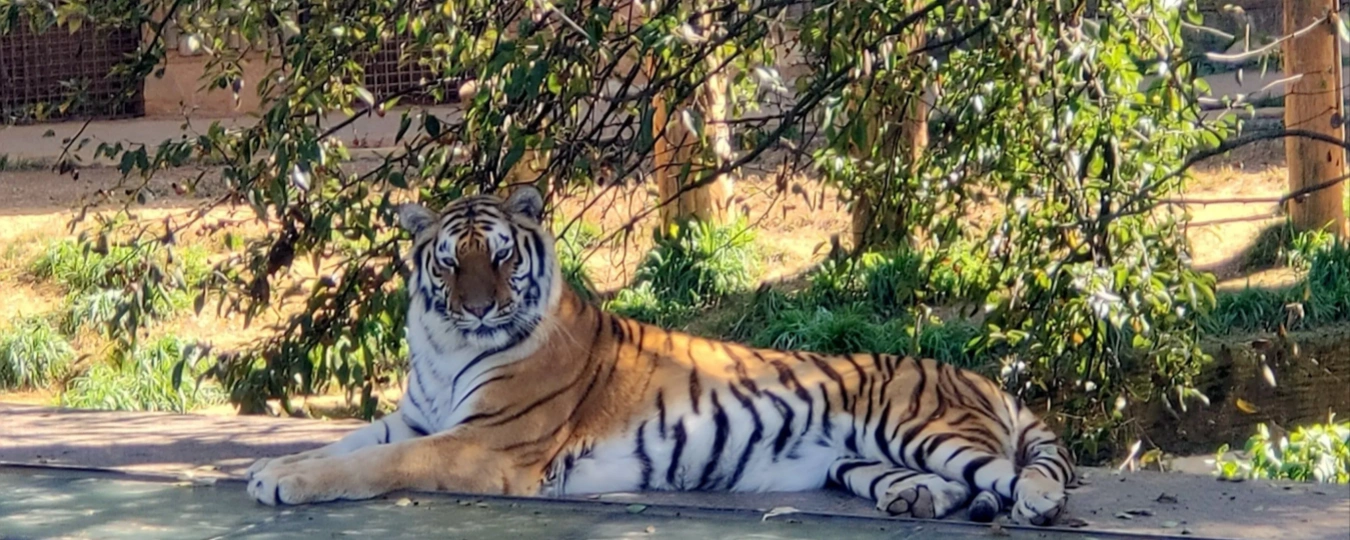 Yunnan Wild Animals Park