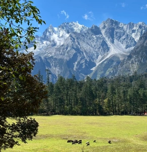 Плато Юньшаньпин у горы Нефритового Дракона