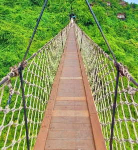 ヤーロン湾トロピカルパラダイス森林公園の吊り橋