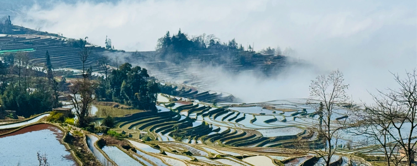Рисовые террасы народа хани (Юаньян)