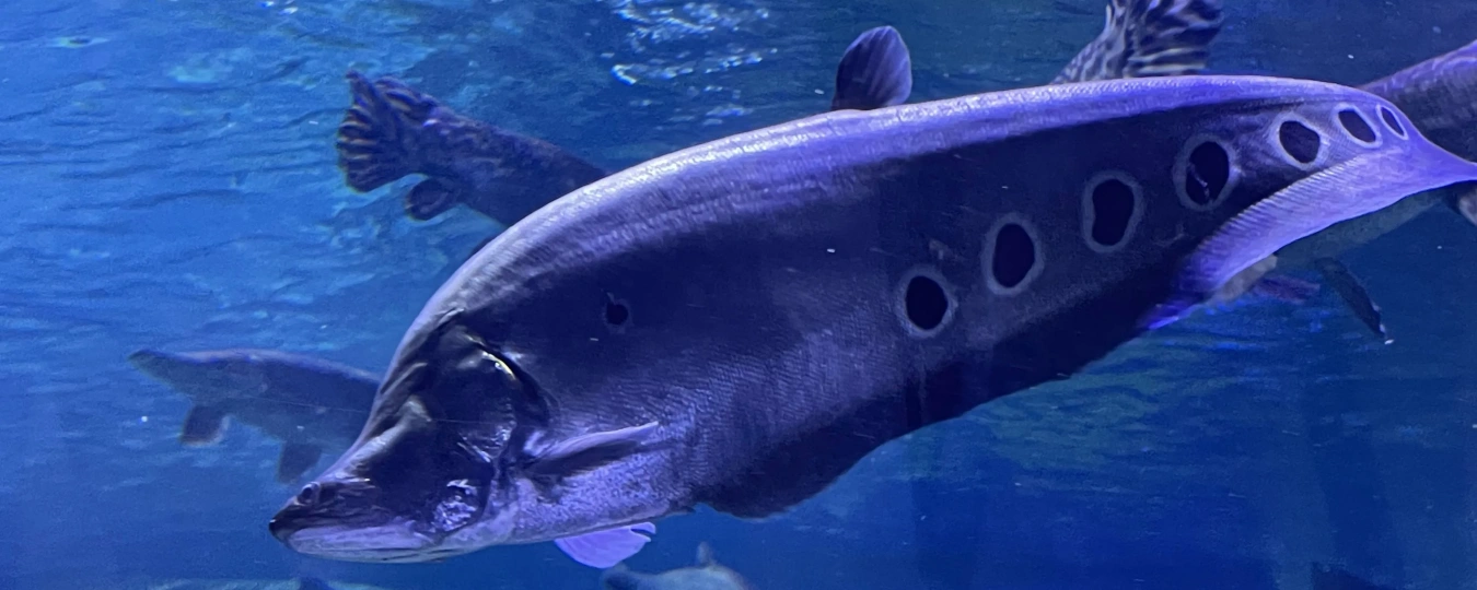 Океанический парк Ланьчжоу