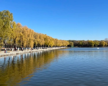 ทะเลสาบและต้นหลิวในสวนเป่ยหลิง