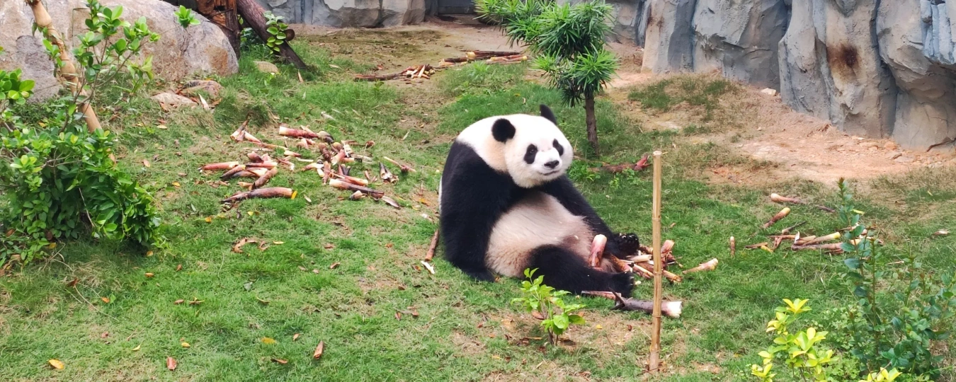 泉州海絲野生動物世界