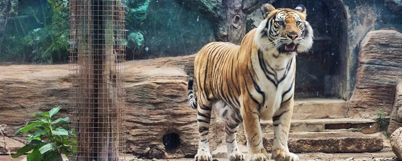 สวนสัตว์จี่หนาน