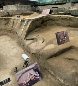 Archaeological excavation site in Jinsha Site Museum