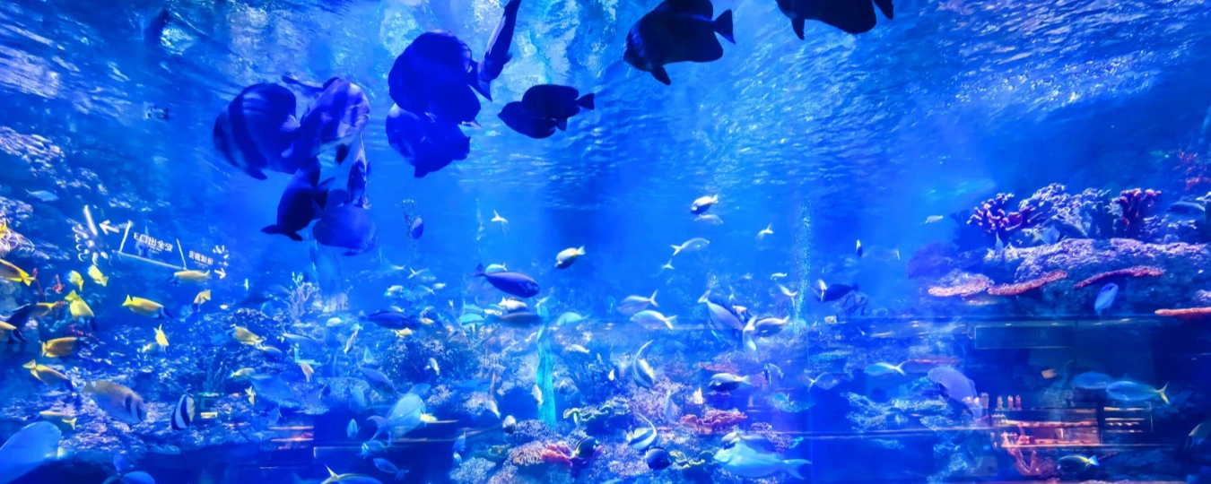 Qingdao Underwater World