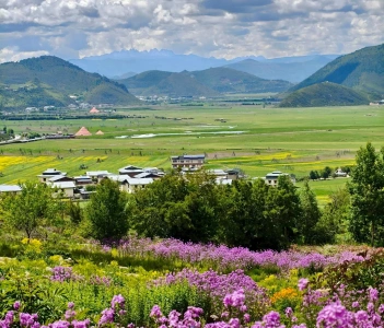 Shangri-La Alpine Botanical Garden landscape