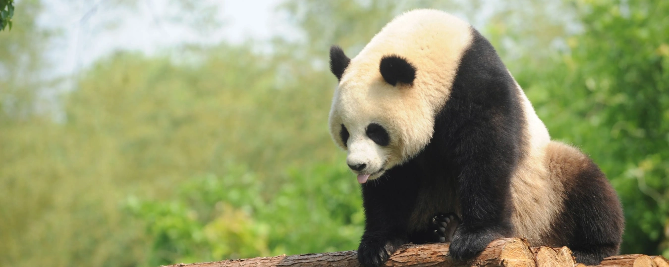 寧波野生動物園