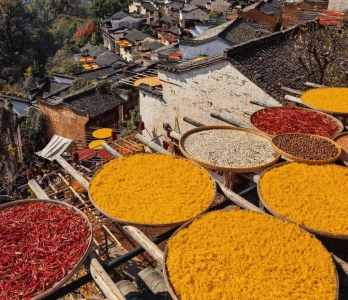 우위안 황링 전통 농산물 건조 풍경