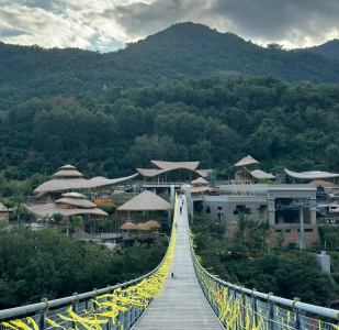 夢幻谷的高空吊橋景觀