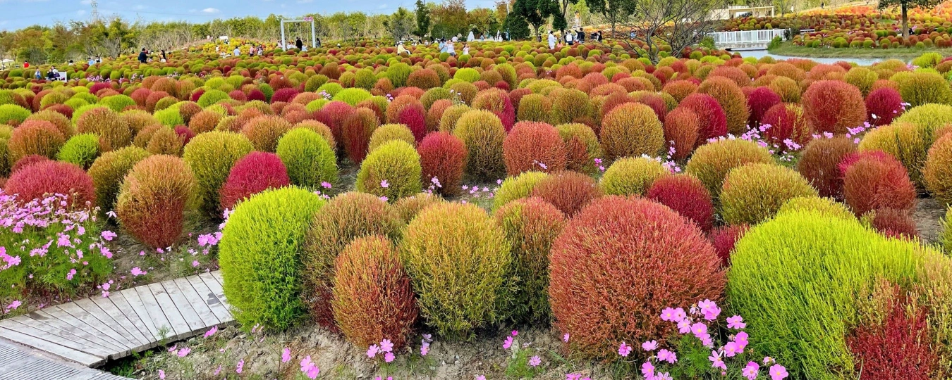 Экопарк «Хуакай Хайшан» («Цветы над морем»)