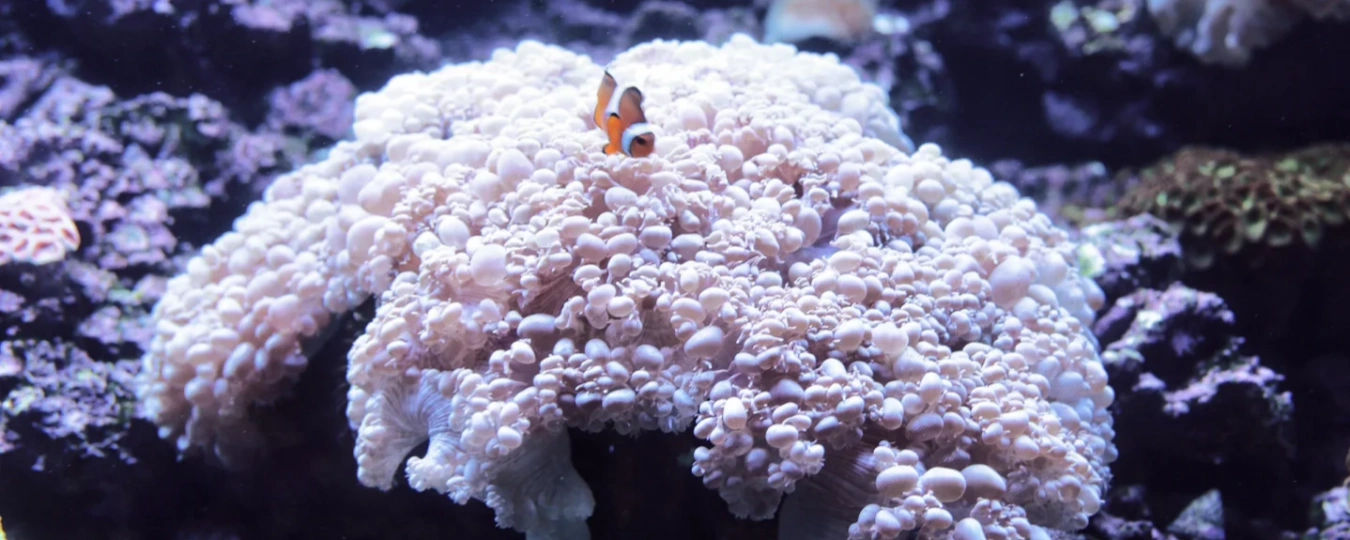 Changsha Sea World