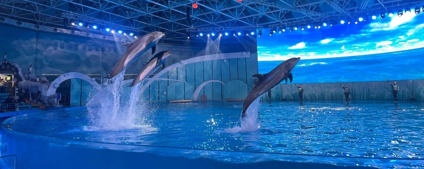 Qingdao Polar Ocean World