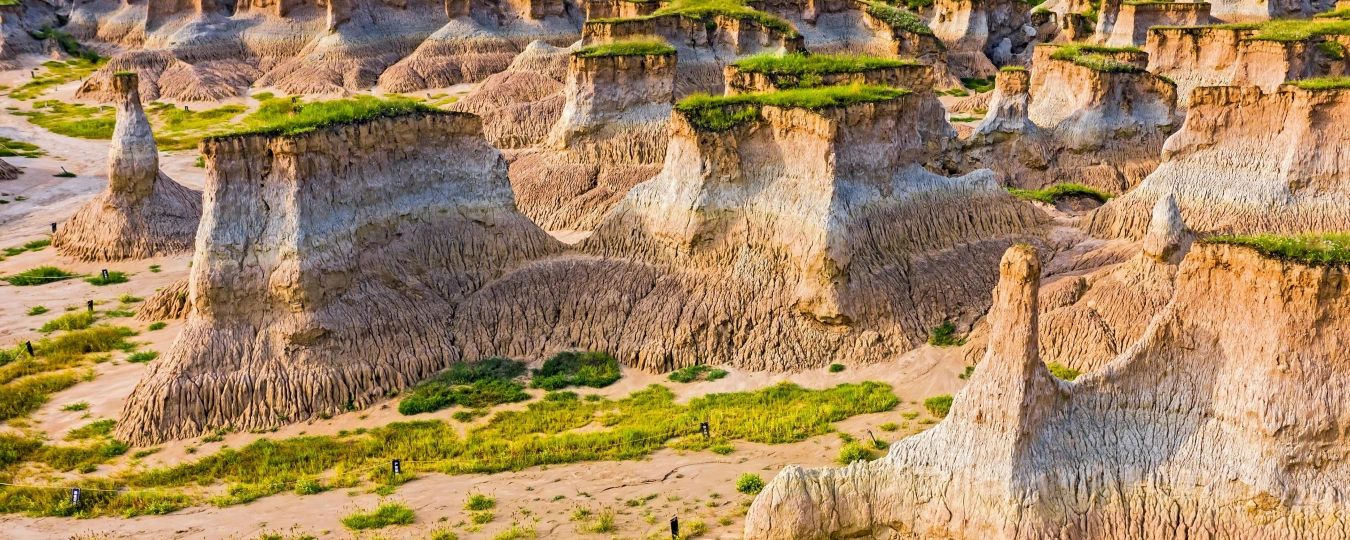 «Земляной лес» Датуна (Тулинь)
