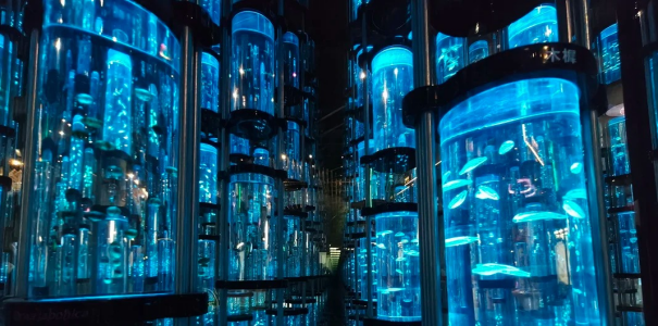 宇宙探源展廳