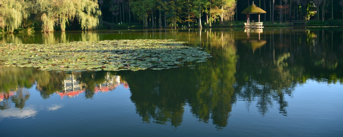 Kunming Botanical Garden
