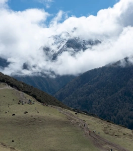 Serene Haizi Valley with lush green meadows and snowy mountain peaks in the distance.