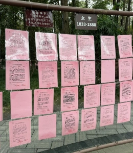 成都人民公園相親角週末實況與粉紅簡歷