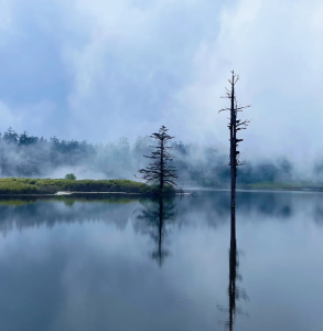 Wawu Mountain Yuanyang Lake with misty forest reflections