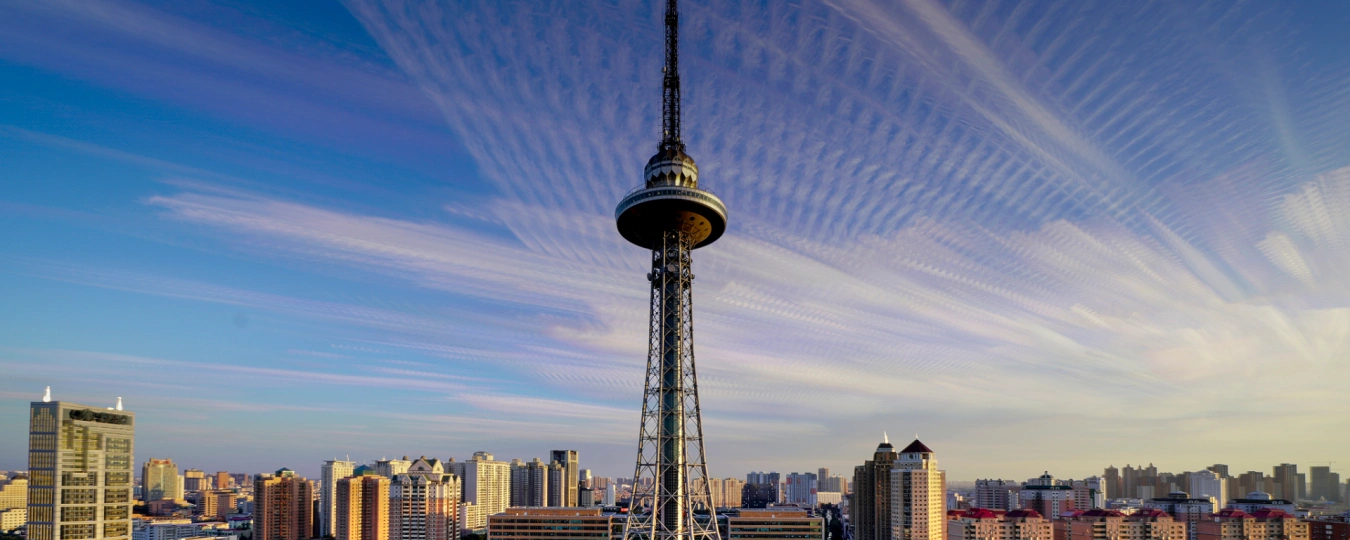 ドラゴンタワー（龍塔）