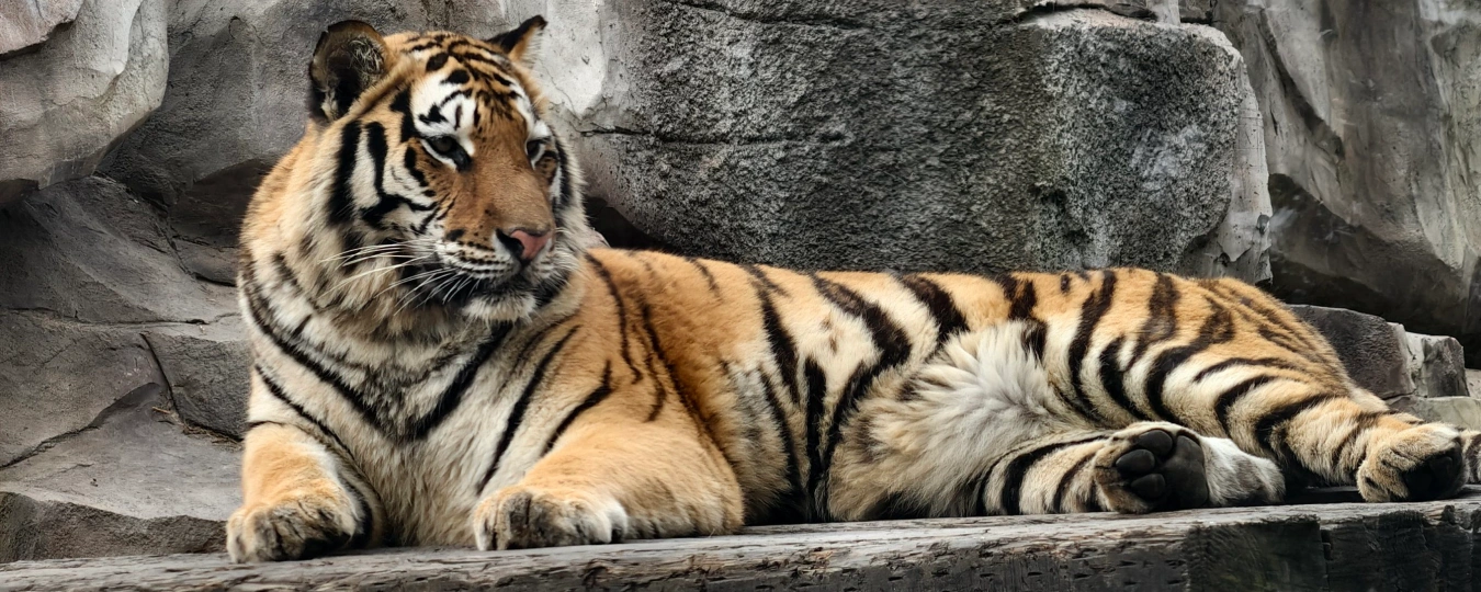 南京金牛湖野生動物王國